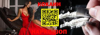 крисы Гатчина