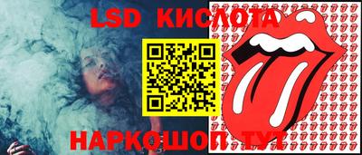 крисы Гатчина