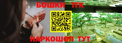 индика Гай