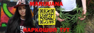 крисы Гатчина