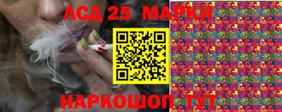 крисы Гатчина