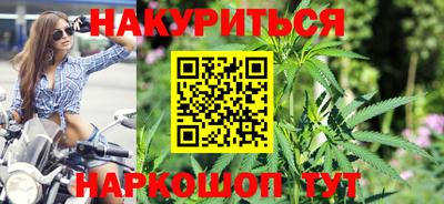 индика Гай