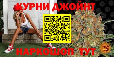 индика Гай